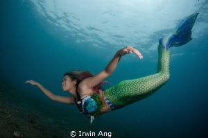 B E A U T Y
Mermaid (Odessa Bugarin)
Anilao, Philippines. by Irwin Ang 